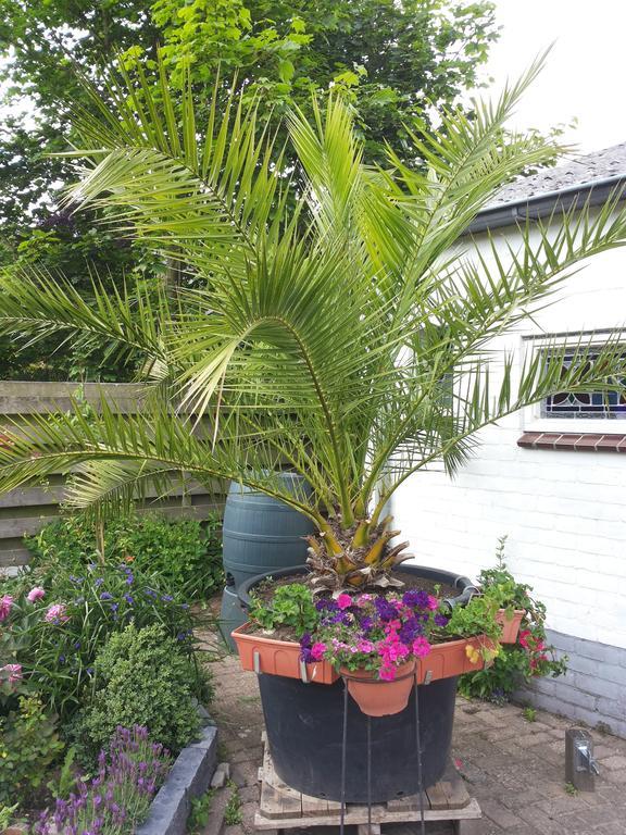 'T Uutrusthuus Appartement Zelhem Kamer foto